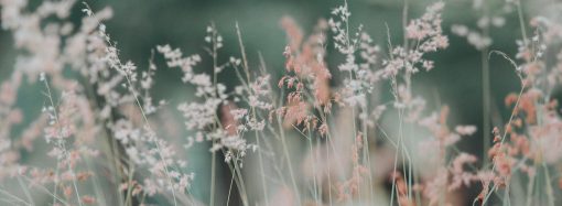 Sidebar Blog