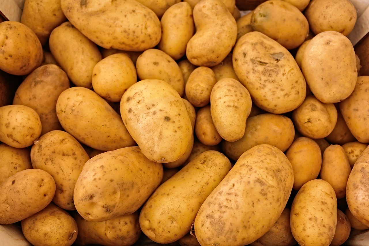 Kiedy należy sadzić ziemniaki?