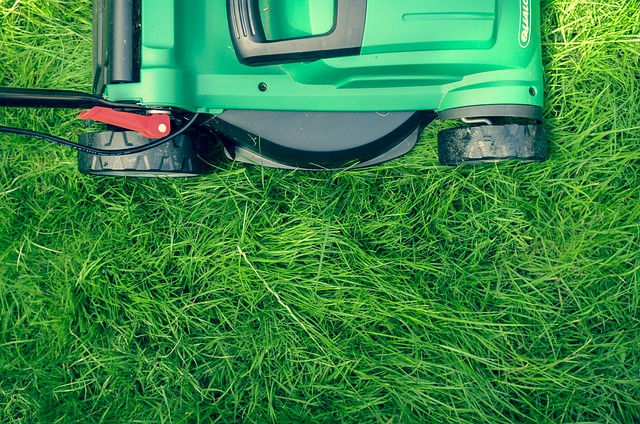 Jak prawidłowo dobrać akcesoria do urządzenia koszącego trawę?