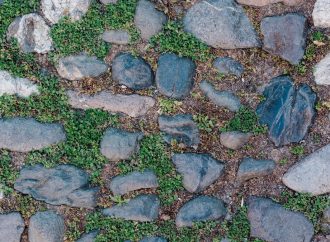 Jak wykorzystać naturalny kamień w aranżacji ogrodu?