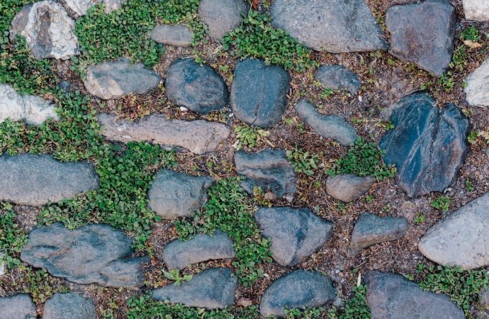 Jak wykorzystać naturalny kamień w aranżacji ogrodu?