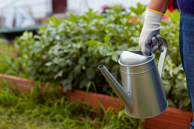 Jak skutecznie zainstalować zbiornik na deszczówkę w swoim ogrodzie?